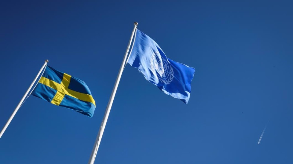 Två år i säkerhetsrådet är till ända för Sverige och nu väntar nya utmaningar.