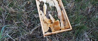Bikupor utsatta för skadegörelse