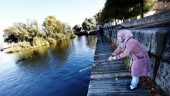 Fisket i Strömmen påverkas