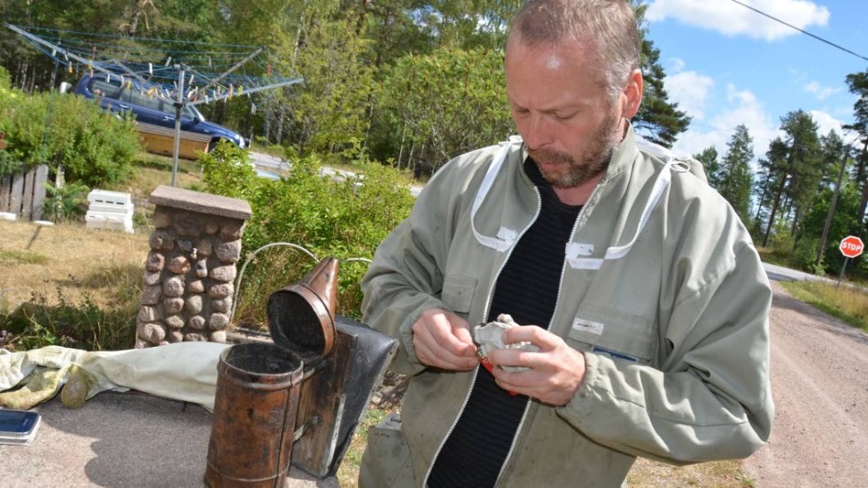 Lars Johansson har drivit sitt företag utanför Tuna i cirka tio år. Under sommaren anordnar han bisafari för besökare.