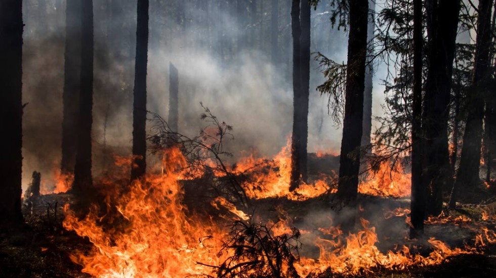 Nu råder eldningsförbud i Jönköping län.