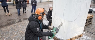 Besökarna ska kunna gå in i årets isskulpturer på torget