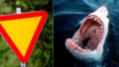 Bilister: Skylten vinner  över hajtänderna