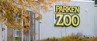Hungriga tjuvar försökte bryta sig in i Parken Zoo