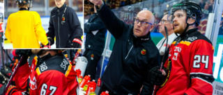 Luleå Hockey-tränaren sjukskriven – han ersätter: "Gjort ett väldigt bra jobb"