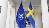 Smärtsam process för ansökan om Nato medlemskap
