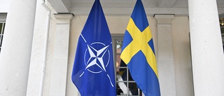 Smärtsam process för ansökan om Nato medlemskap