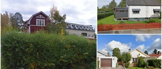 Lista: Här är de dyraste husen i Tierp i juli