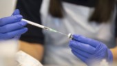 Region Västerbottens vaccinsamordnare: Alla kommer att få en ”höstdos”