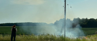 Elledning orsakade gräsbrand vid stor väg