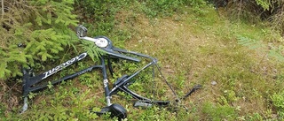 Isärplockade cyklar hittades i skogsområde – och försvann • Oklart om cyklarna är stulna