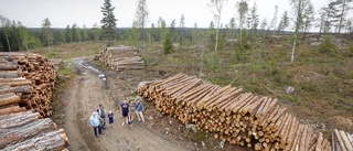 Replik: Miljökontoret anser att det saknas legal grund för omprövning av tillståndet för bergtäkt i Bälgviken