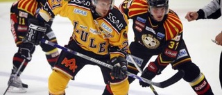 Visst blir det en säsong till för Burström i Luleå Hockey