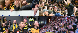 PUBLIKFEST: Se vilka som såg AIK:s segermatch mot Örebro 