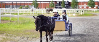 Bodentravet öppnar filial i Piteå