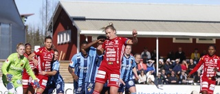 Löfqvist missar landskamp