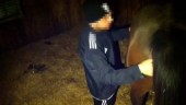 Facebookfilm om hästövergrepp kan vara olagligt