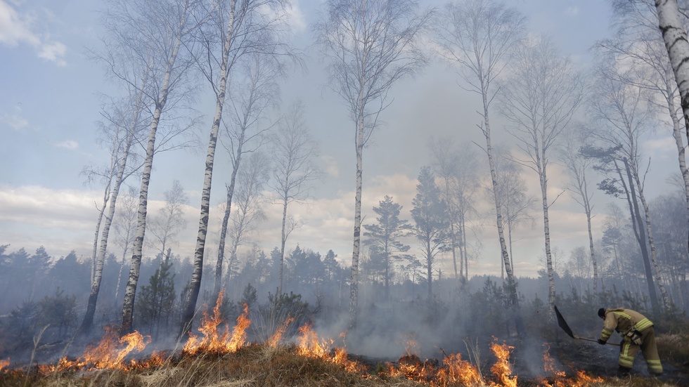 Det råder risk för gräsbränder i delar av Sverige. Arkivbild.
