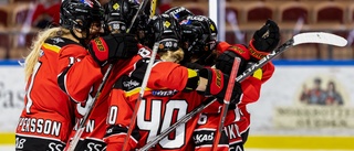 Luleå Hockey/MSSK till SM-final: "Vi förtjänar det här"