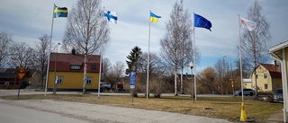 Ville visa solidaritet med Ukraina – hängde flaggorna fel