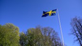 Rekordmånga nya svenskar firas