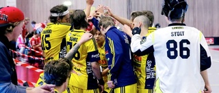 Ukrainska spelare gästar Visby IBK