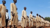 Förlängt vapenembargo mot Sydsudan