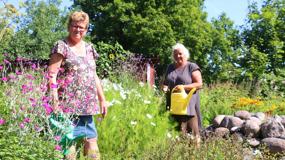 Lotta Rosander, th, och henns syster Lena Axelsson, driver Örtagården helt idellt och lägger ner mycket tid och pengar på blomsterprakten. "Det är vädligt tråkigt att någon gräver upp blommor" säger Lotta.
