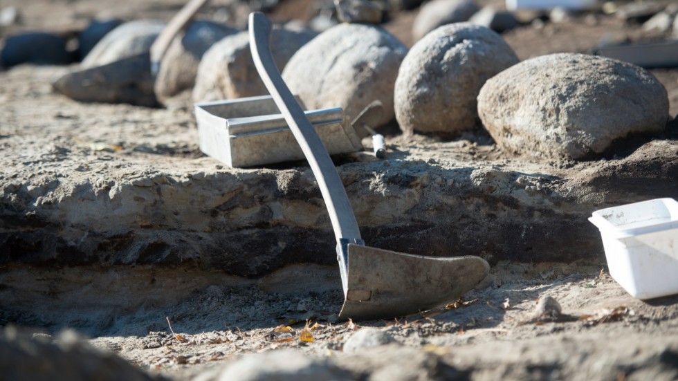 Arkeologistudenter på Gotland har gjort ett mycket ovanligt fynd. Arkivbild