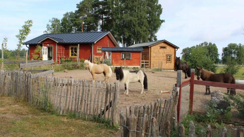 Familjedaghemmet Soludden ligger intill Krön i Anna och Sören Reichenbergers hem. På gården finns även djur som kommer vara en del av verksamheten.