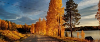 Läsarbilden: Vidunderligt vackert om hösten