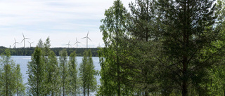 Det stormar mot höga vindkraftverk i Blåsmark • Kommunen är negativ: "Vi säger nej"