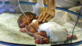 Hudkontakt ökar överlevnaden hos tidigt födda