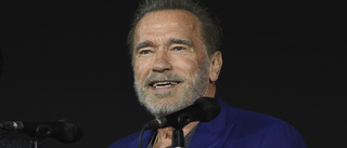 Schwarzenegger gör spionserie för Netflix