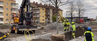 TITTA: Här planteras det första trädet i Östra promenaden