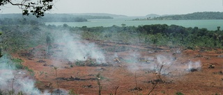 Stearinljus räddar inte klimatet