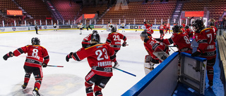 Mästarlaget Luleå Hockey/MSSK nobbades på SDHL awards