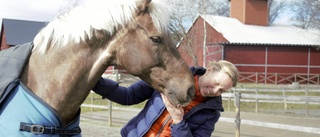 Nina har ny häst stallet: "Som en dröm"