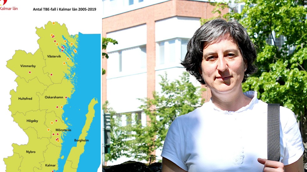 Ett fall har upptäckts i Vimmerby, inget i Hultsfred visar Region Kalmars karta över antalet TBE-fall mellan 2005-2019. "Flest upptäckta fall har vi i Västervik, Loftahammar och Mönsterås", säger smittskyddsläkare Lisa Labbé Sandelin.