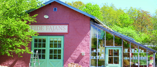 Fide Fajans - den rosa keramikbutiken på Sudret 