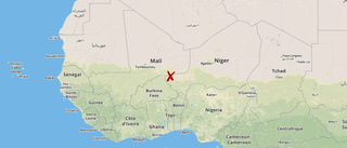 Många döda i sammandrabbningar i Niger