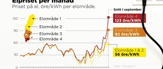 Binda elpriset kan vara för sent