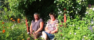 Efter blomsterstölderna: Utmärkelsen blev plåster på såren • "Jag är jätteglad"