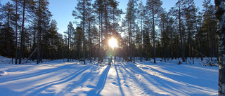 Läsarbilden: soluppgång på Mjösjöberget