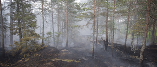 Skogsbrand bröt ut i Moskosel: "Förmodligen en eld som har lämnats kvar"