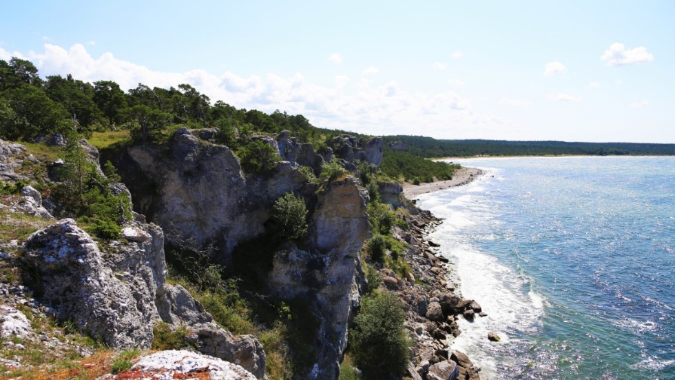 Klintkustleden sträcker sig 3 mil, genom sex naturreservat på den norra delen av Gotlands västkust. 