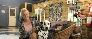 Hög efterfrågan på Nyköpings hunddagisplatser: "Börjar bli lång kö"