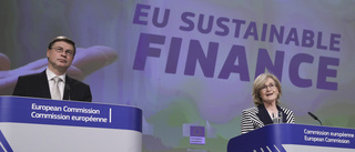 Dubbel kritik mot hållbarhet i EU