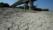 WWF: Vattenbristen blir värre i framtiden