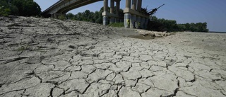 WWF: Vattenbristen blir värre i framtiden